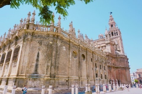 아무 생각없이 갔는데 사랑에 빠지는 여행지.jpg | 인스티즈