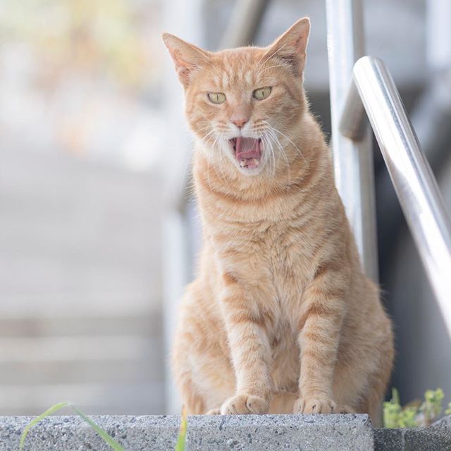 흐아아~......품 | 인스티즈