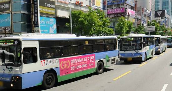  시내버스들이 난폭한 곳으로 유명하다는 도시들 | 인스티즈
