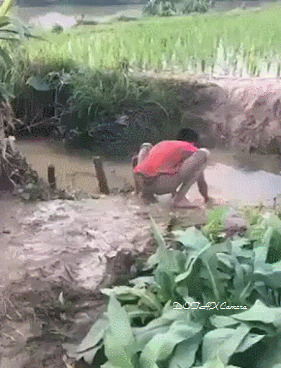 돌아온 세 얼간이 | 인스티즈