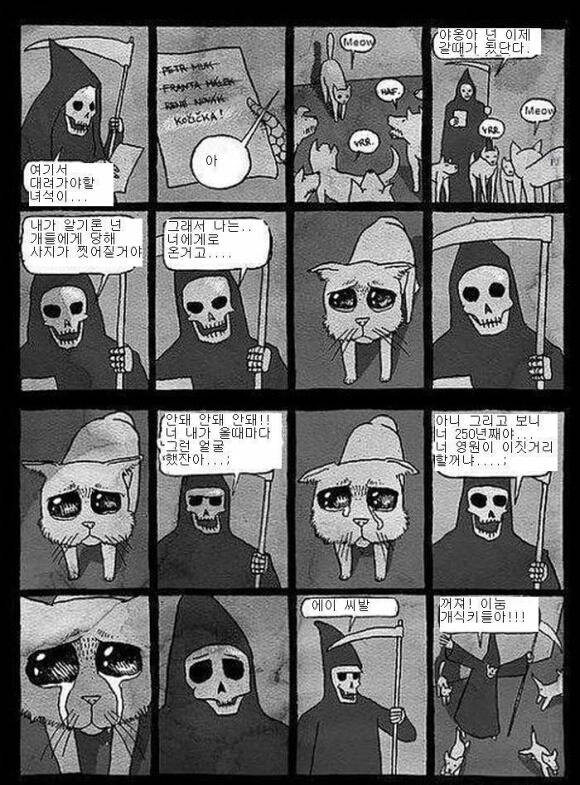 고양이가 지옥에 안가는 이유 | 인스티즈