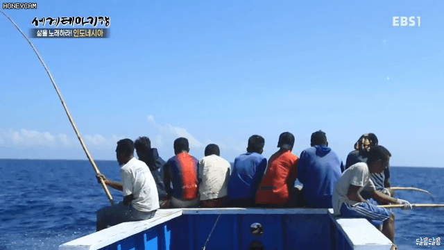 인도네시아 참치잡이 | 인스티즈