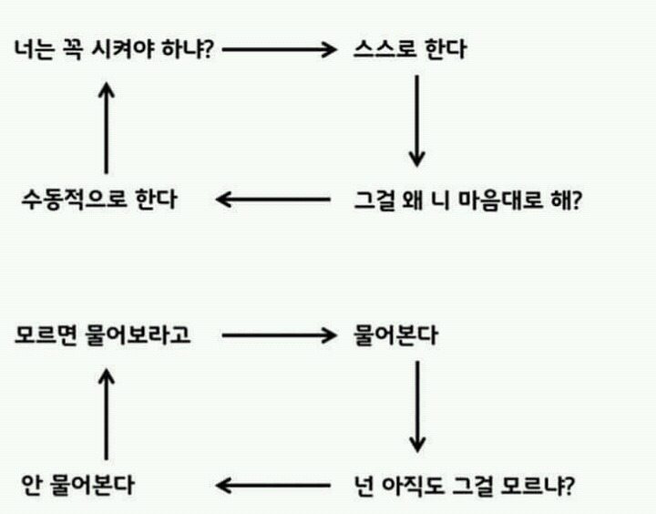 우리나라 사회 메카니즘 | 인스티즈