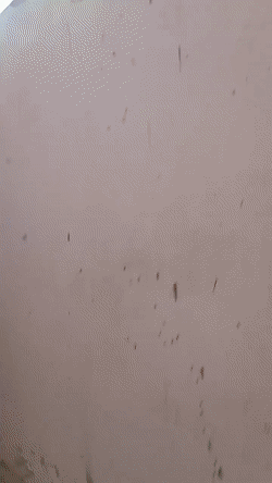 쿠르드족 여성 스나이퍼.gif | 인스티즈