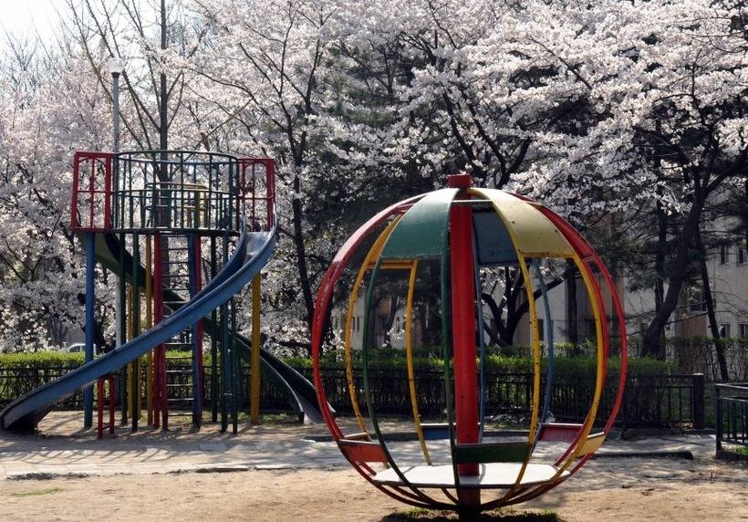 다시 어린시절로 돌아간다면 전 vs 후 | 인스티즈