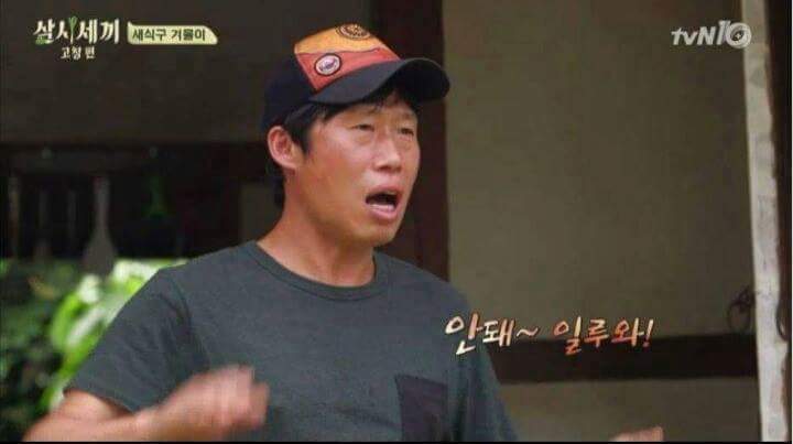 강아지가 안 보일때 꿀팁 | 인스티즈