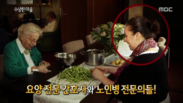 풍차국의 치매 요양 마을 | 인스티즈