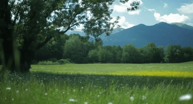 봄이 오면 볼 수 있는 모습 | 인스티즈
