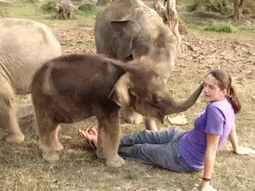 ??? : 코 건들지마 | 인스티즈