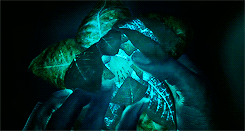 영상미 아름답다고 유명한 라이프 오브 파이 | 인스티즈