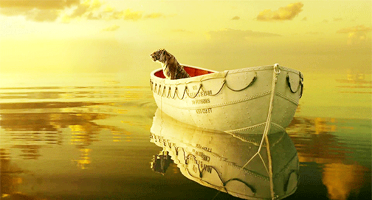 영상미 아름답다고 유명한 라이프 오브 파이 | 인스티즈