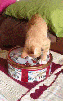 2017 마지막날엔 역시 | 인스티즈