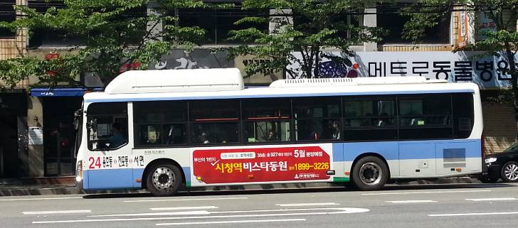 부산의 빨리 오는 버스번호.jpg | 인스티즈