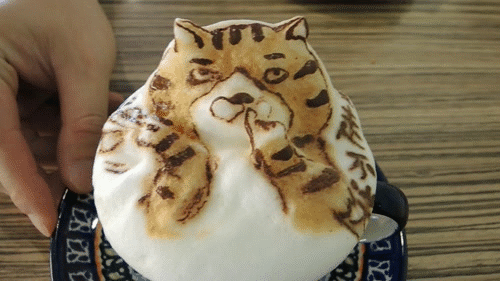 따뜻한 라떼 한 잔! 3D동물 아트라떼 gifjpg | 인스티즈