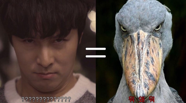 아이돌의 아무말대잔치 브이앱 | 인스티즈