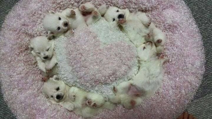 방석을 사왔는데.. | 인스티즈