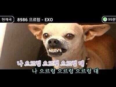 쉬어가는타임 | 인스티즈