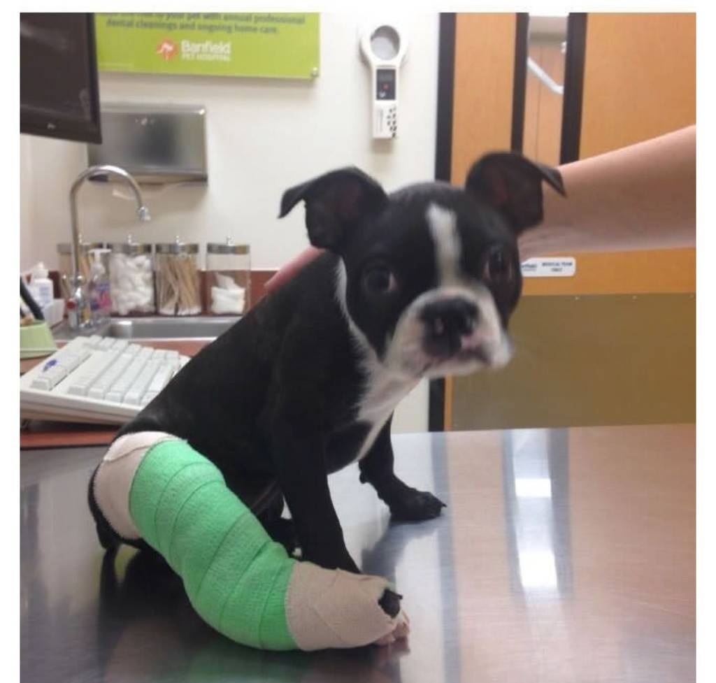 나 아야했쪄 | 인스티즈