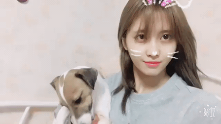 다음 생엔 모모의 개로... | 인스티즈