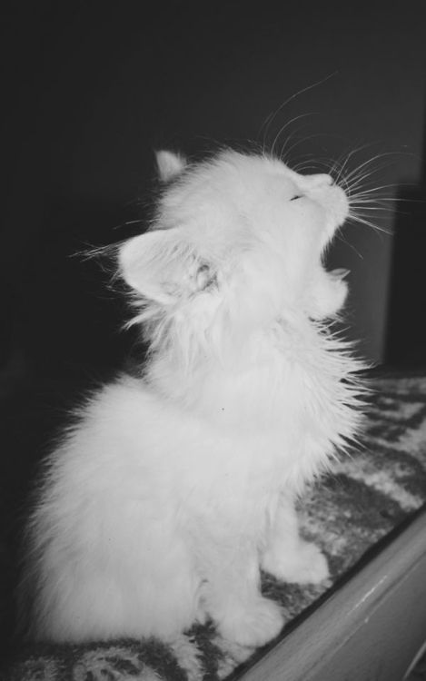 흐아아~......품 | 인스티즈