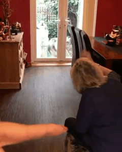 문열어줘염.gif | 인스티즈