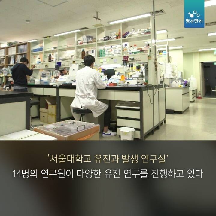 한국에서 과학자로 산다는 것 | 인스티즈