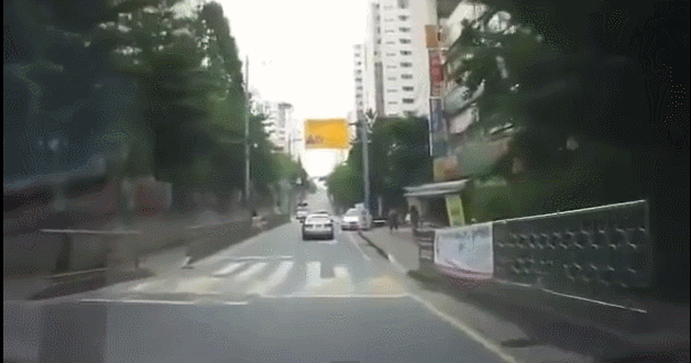 학교 앞에서 저속 운전 해야 하는 이유.GIF | 인스티즈