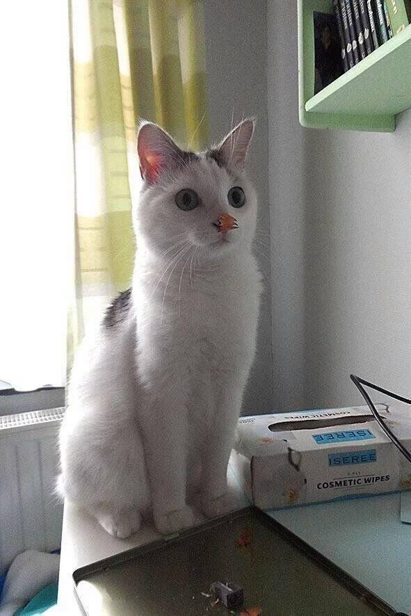 시방 이게 뭐시여.jpg | 인스티즈