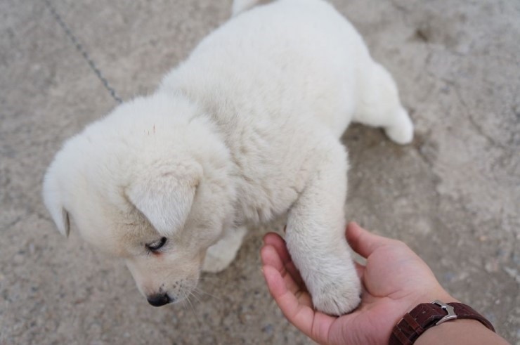 할아버지 할머니 눈에 보이는 손자 손녀 | 인스티즈