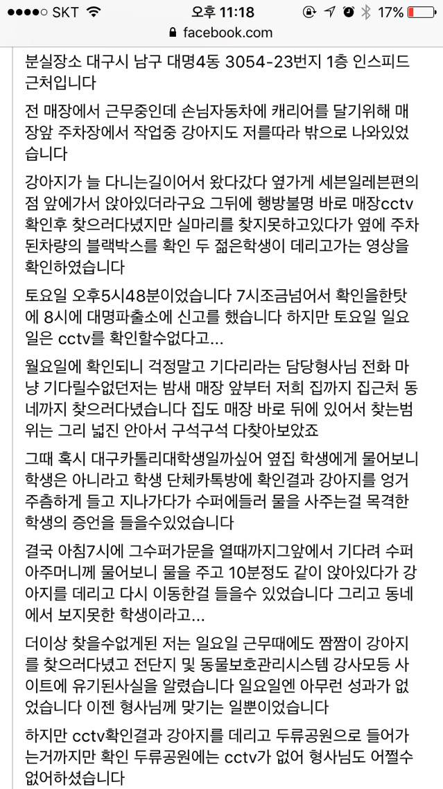 대구에서 남자 2명이 실수로 주인있는 말티즈를 데려갔대! 주인이 애타게 제보바라고있어! | 인스티즈