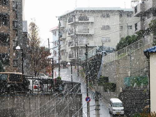 설국 일본 감상하시죠.jpg | 인스티즈