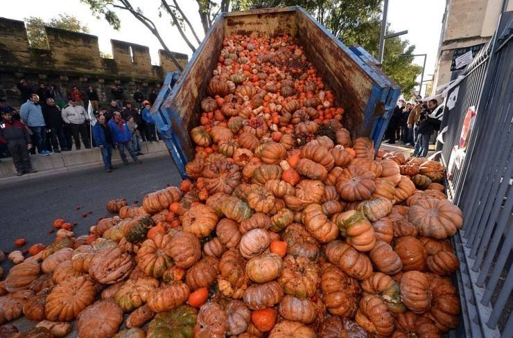 우리나라와는 반대인 프랑스 농민분들 시위 | 인스티즈