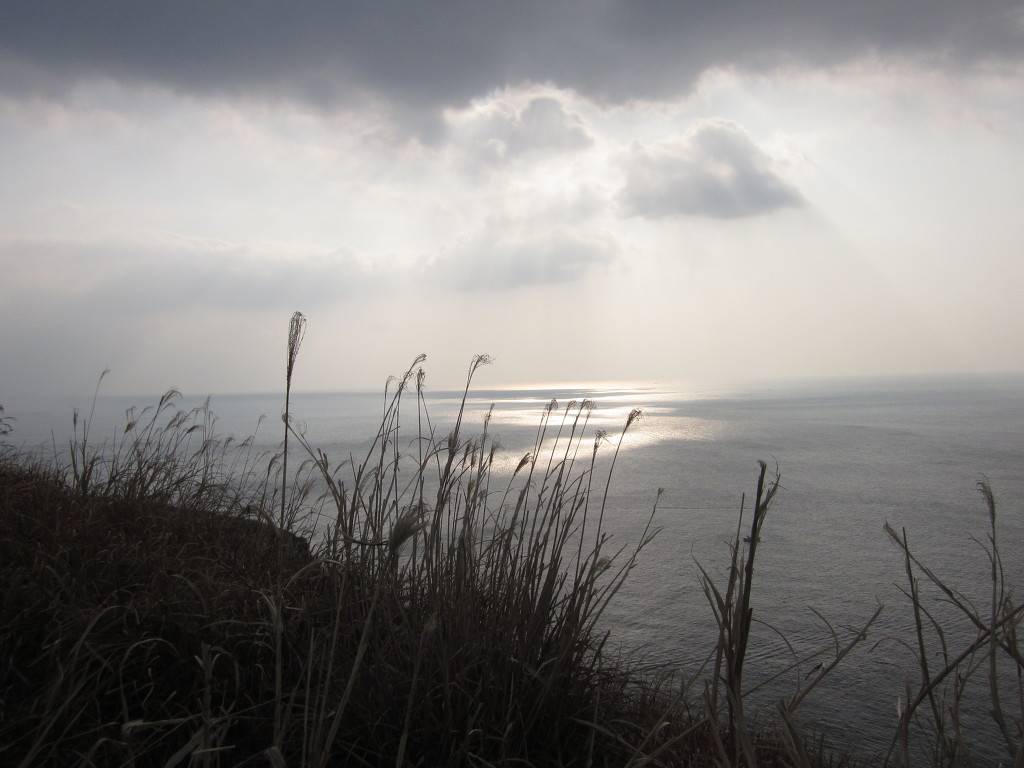 웃긴자료는 아니지만 힐링이라 읽고 똥망사진으로 보는 자료 : 제주풍경 | 인스티즈