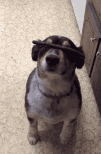 인내는 쓰지만 그 열매는 달다고 한다 | 인스티즈