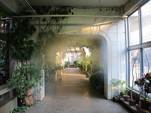  좋아하는 사람이 당신에게 핑계 대는 이유 | 인스티즈