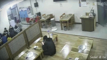 식당에 멧돼지 난입 gif | 인스티즈