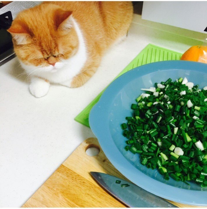 굳이 옆에 와서 울고있네 | 인스티즈