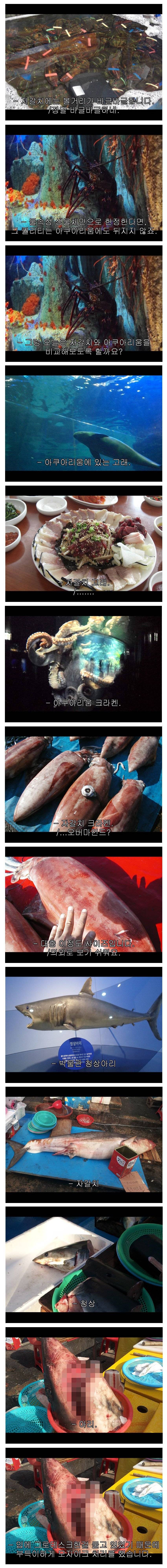 그러니 여러분은 아쿠아리움을 멀리하고 자갈치를 가시는게 좋습니다 | 인스티즈