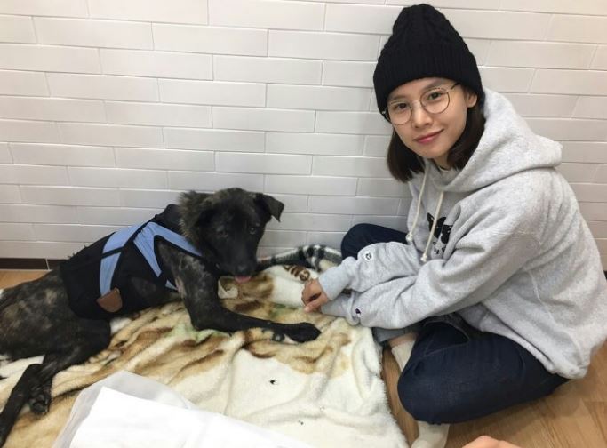 조윤희, 오늘(17일)부터 9주간 유기동물 보호 위한 '스토리펀딩' | 인스티즈