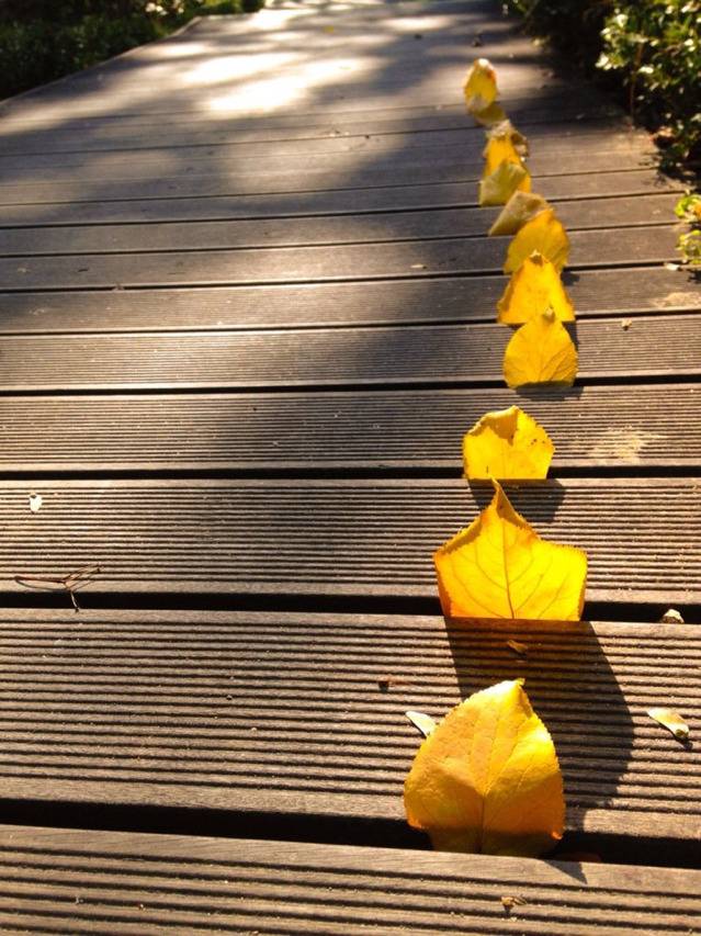 어린애.twt | 인스티즈