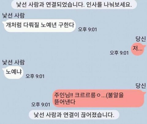 일요일도 다 지나갔는데 다들 유우머 보고 웃고 가쇼 | 인스티즈