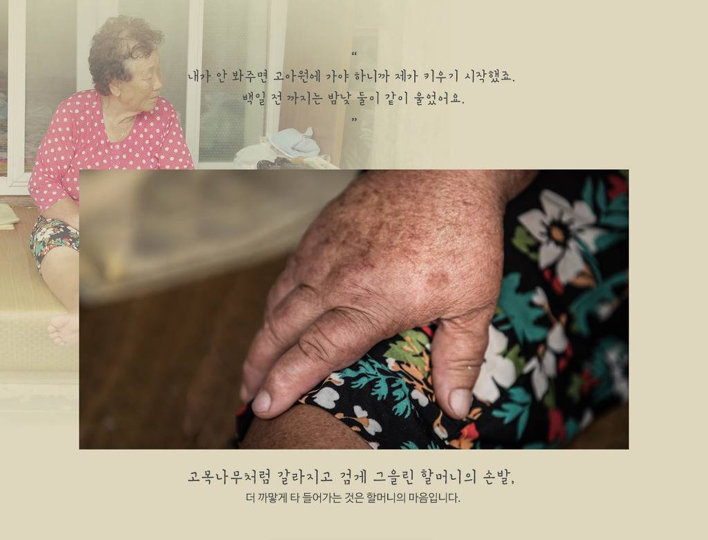 17개월 별이 유일한 가족은 증조할머니 두가족-별이와 할머니 | 인스티즈