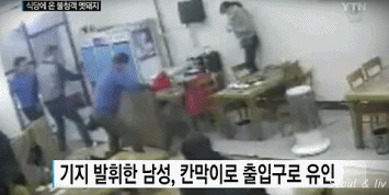 식당에 멧돼지 난입 gif | 인스티즈