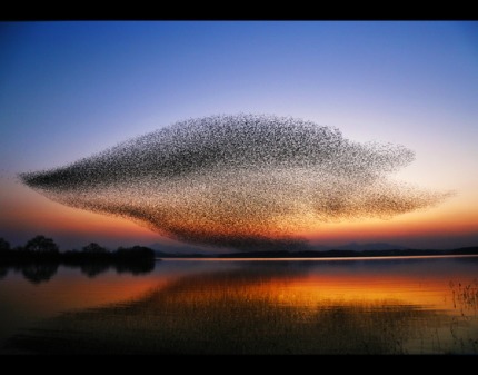 2017년 대한민국 관광사진 수상작 모음 | 인스티즈