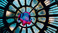 성공시 500억 실패시 1000만원 빚 하시겠습니까 | 인스티즈