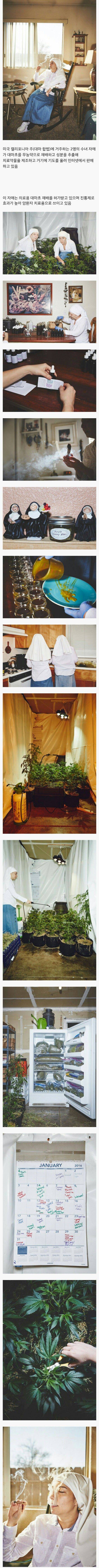 대마초 재배해서 파는 수녀자매 | 인스티즈