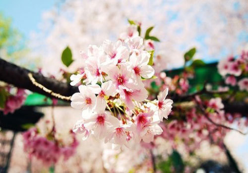  우리 모두는 누군가의 첫사랑이었다 | 인스티즈