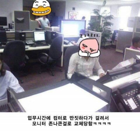 일요일도 다 지나갔는데 다들 유우머 보고 웃고 가쇼 | 인스티즈