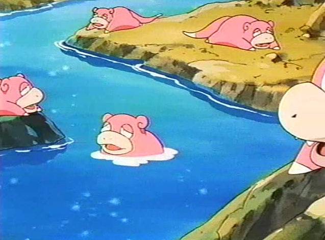 포켓몬스터 빠가사리같은 얘네만보면 답답해 뒤짐 | 인스티즈