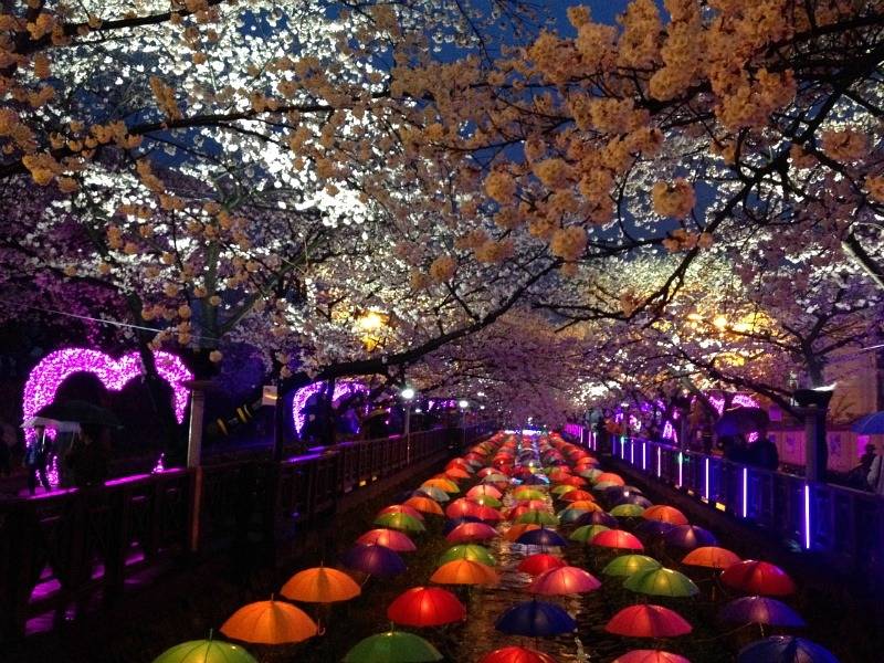 여자친구 데리고 갔을때 좋아했던 곳들 | 인스티즈